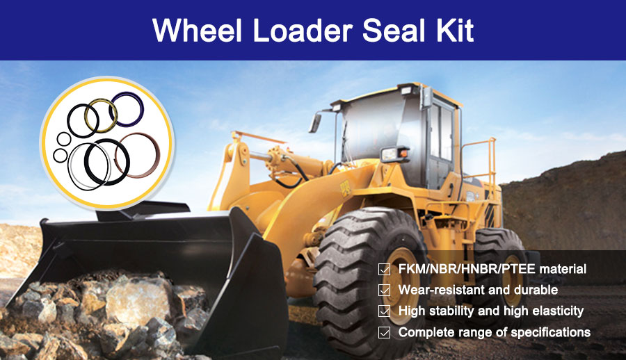 Wheel Loader Seal Kit