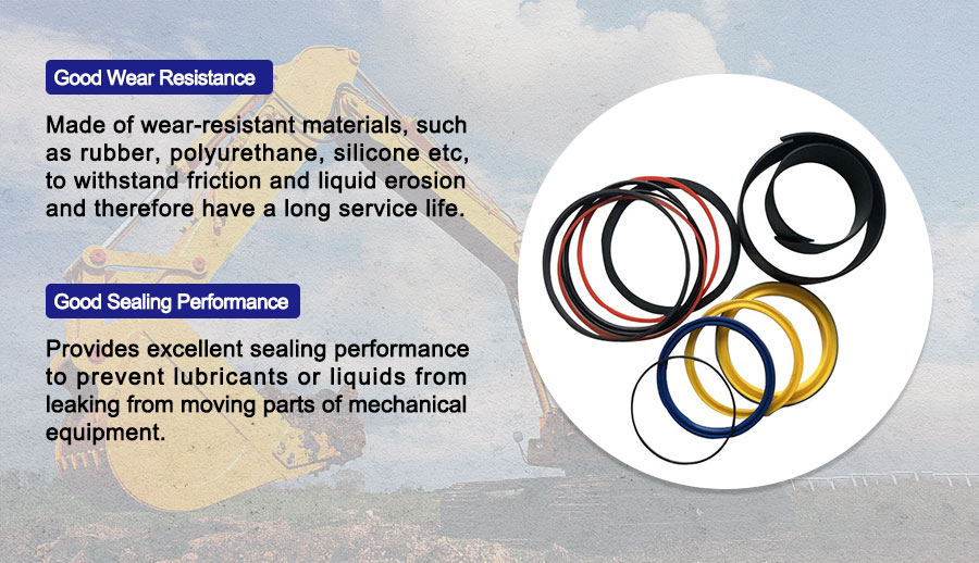 Hydraulic Gasket Kit