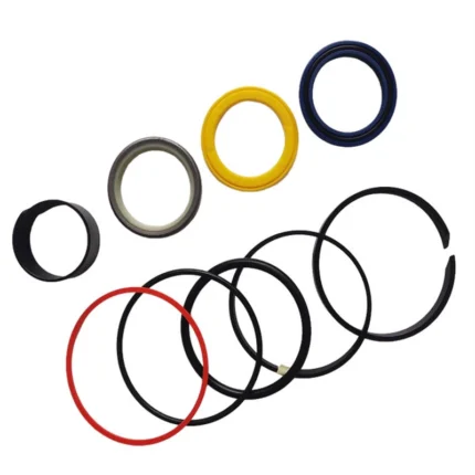 Case Dozer Seals Kit 1543265C1